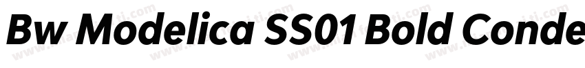 Bw Modelica SS01 Bold Condensed字体转换